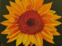Flores 10